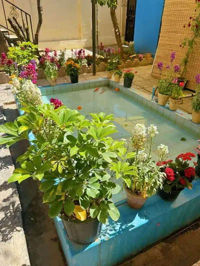 هاستل کوچ شیراز - واحد سه تخته 204