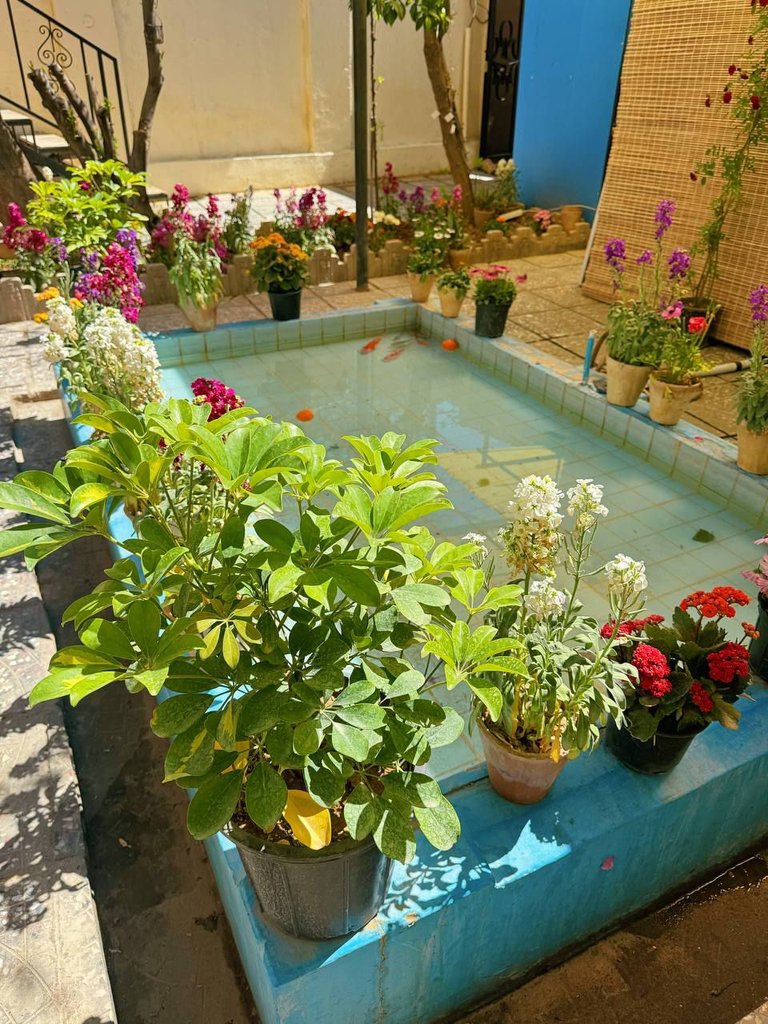 هاستل دوتخته فلت کوچ شیراز