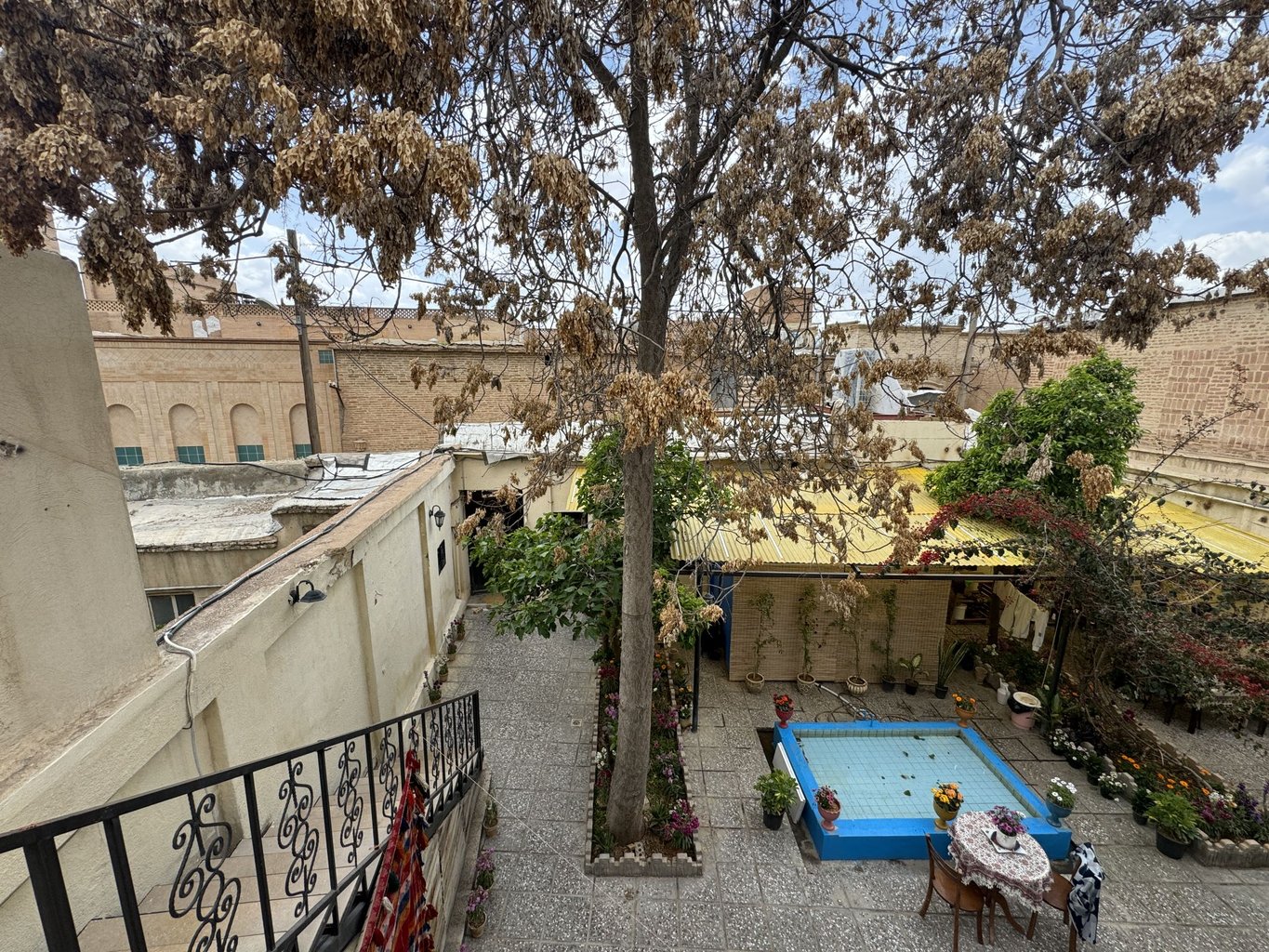 هاستل کوچ شیراز - واحد دابل ۲۰۹