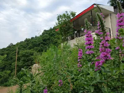 ویلا اجاره ویلا گردنه حیران بهشت گمشده
