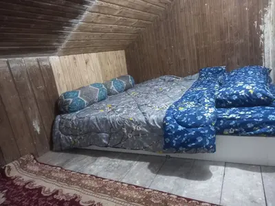 ویلا دوخوابه جنگلی حلما ۱