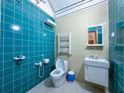 بومگردی عمارت ایرانی - واحد سیلک