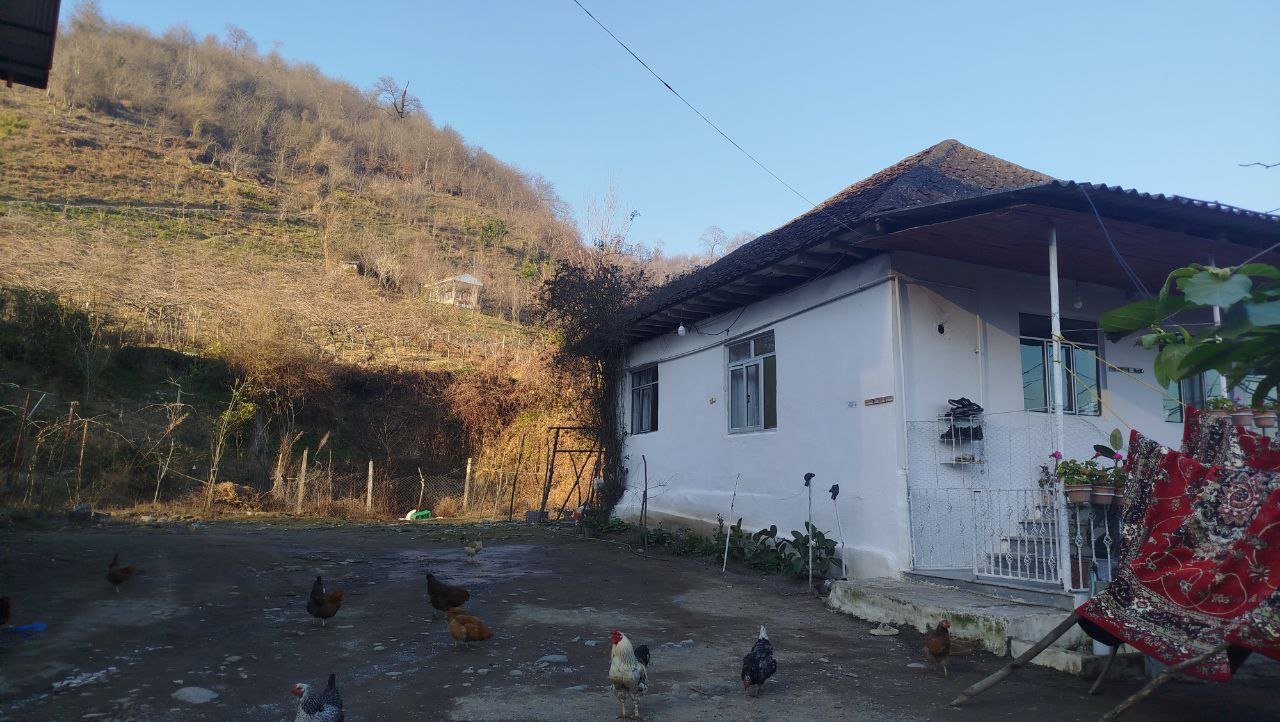 ویلا دوخوابه جنگلی محمدرضا 1