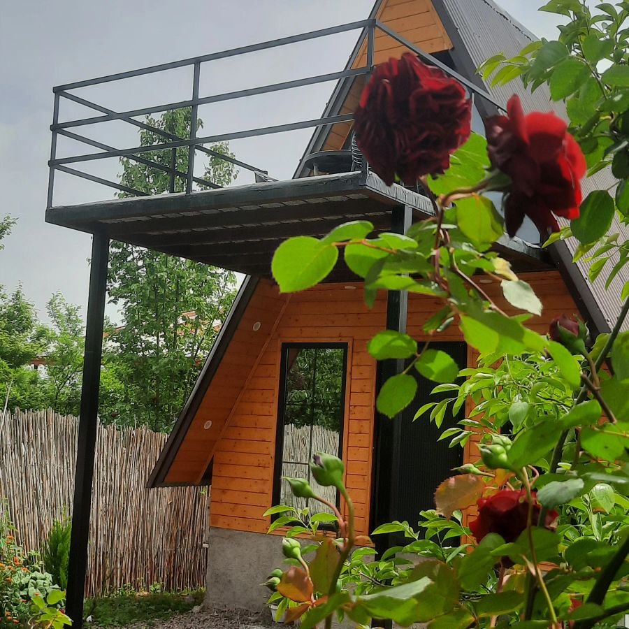 کلبه یک خوابه سوئیسی دولتی