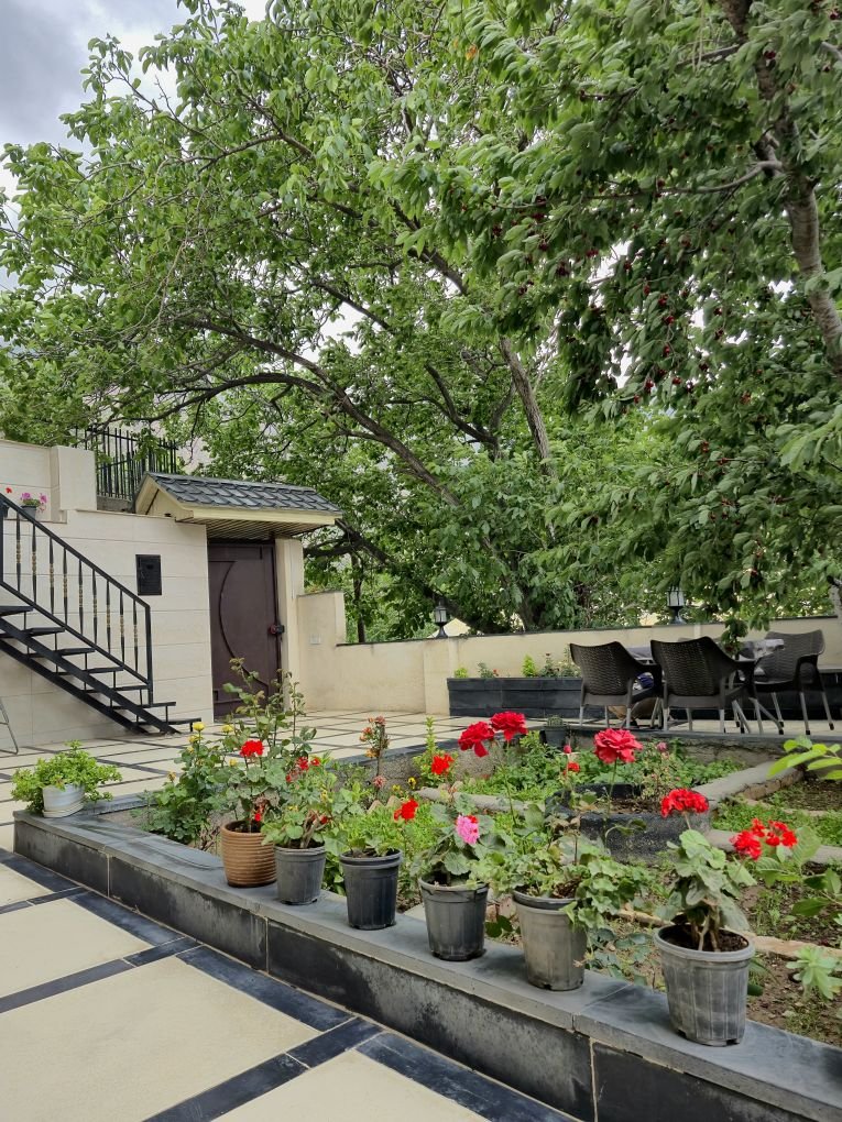 سوئیت اقامتگاه کوک در لاریجان - حیاط و منظره اقامتگاه