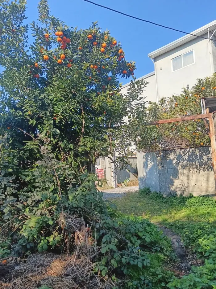 سوئیت یک خوابه روستایی طناز