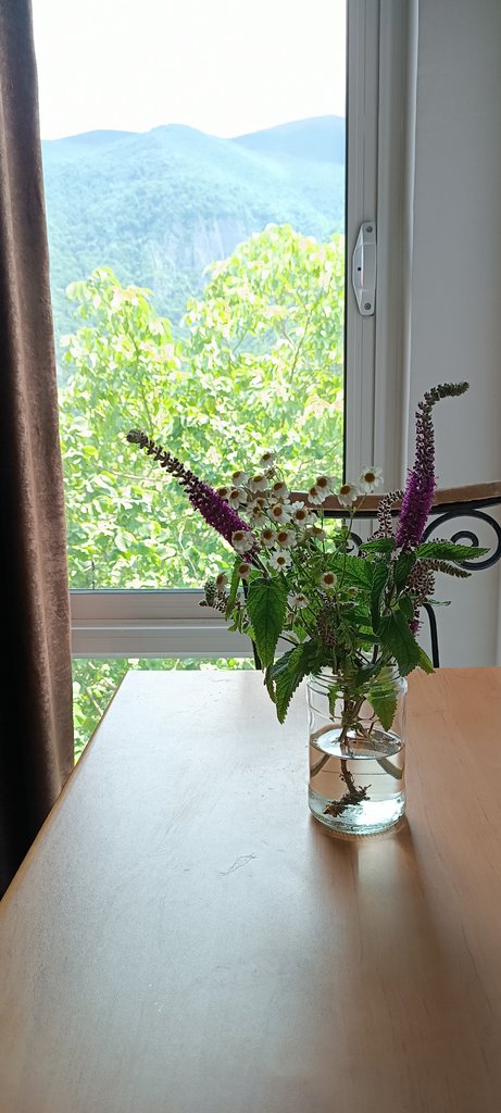 ویلا هالیدی ویلا