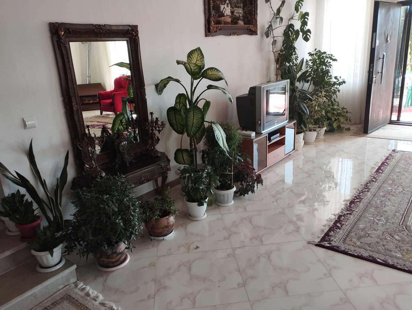 ویلا باراد