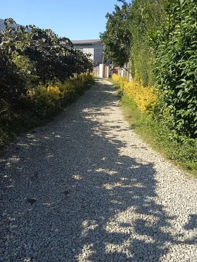 ویلا سه خوابه استخردار آبگرم افرا 3