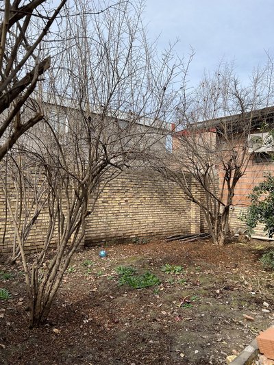 سوئیت یک خوابه ملینا