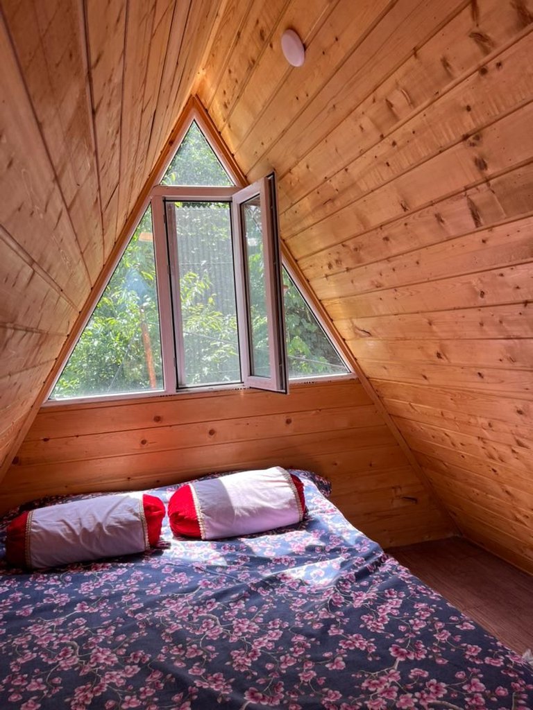 کلبه یک خوابه جنگلی سوئیسی وارش 1