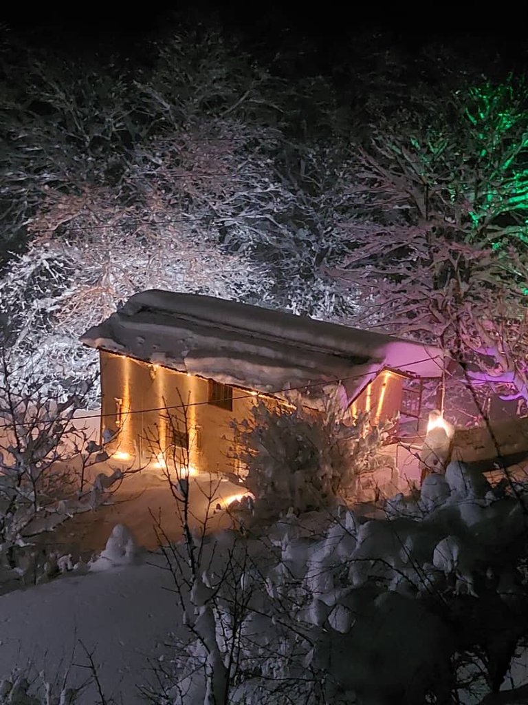 کلبه دوبلکس جنگلی چراغ