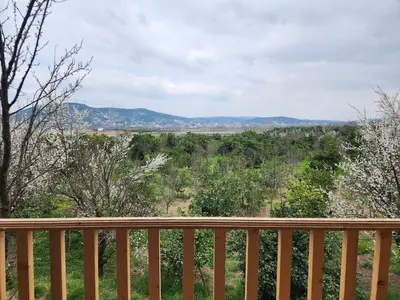 کلبه یک خوابه سارینا 1