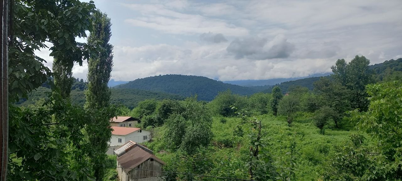 ویلا یک خوابه جنگلی لفور 1