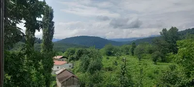 ویلا یک خوابه جنگلی لفور 1