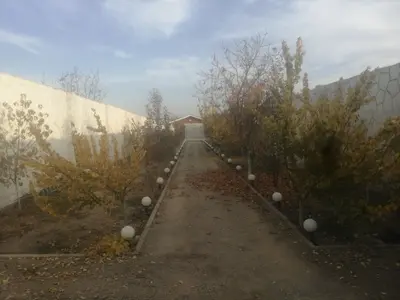 سوئیت دوخوابه بنفشه 13