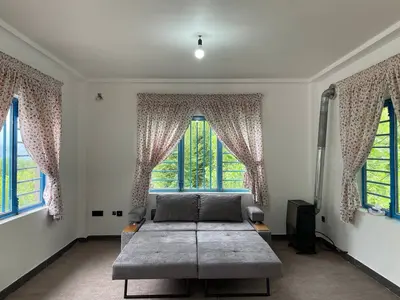 کلبه فلت جنگلی بهشت 11