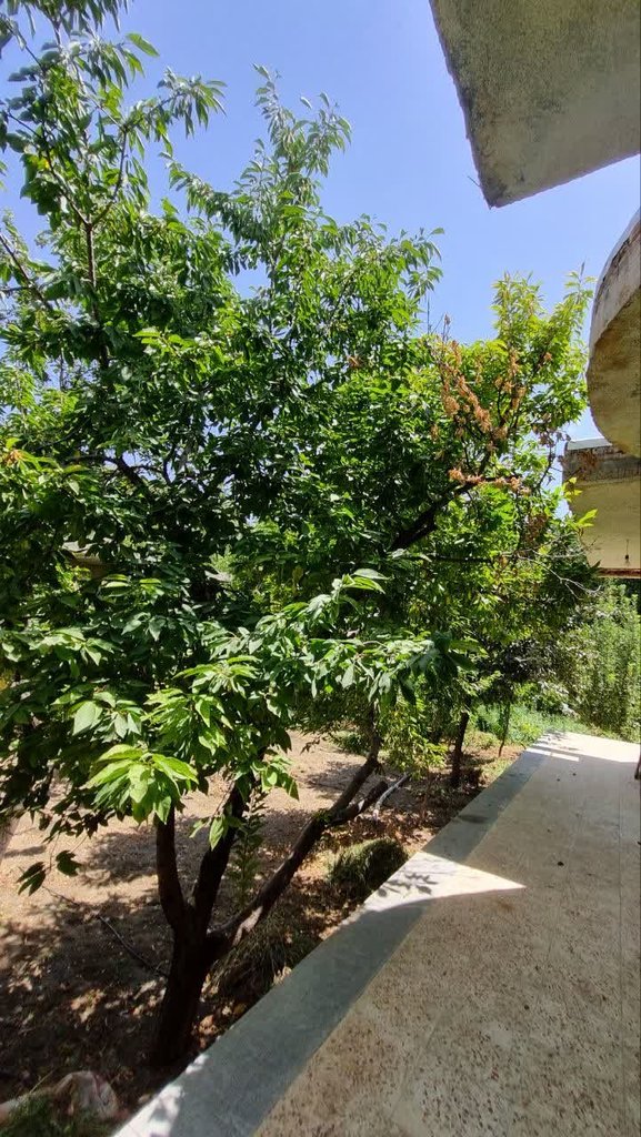 بوم گردی ماه رود - واحد ماه رود