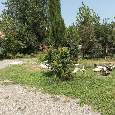 ویلا یک خوابه روستایی سبز