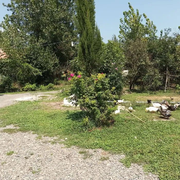 یک خوابه روستایی سبز