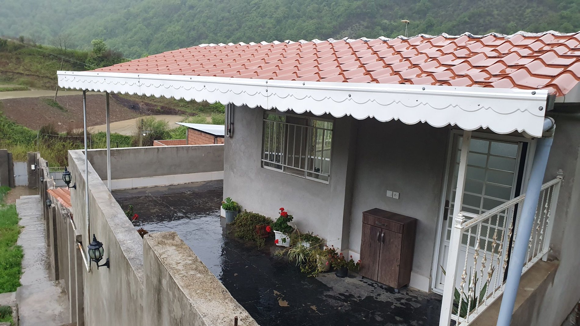 فلت جنگلی نیشاک