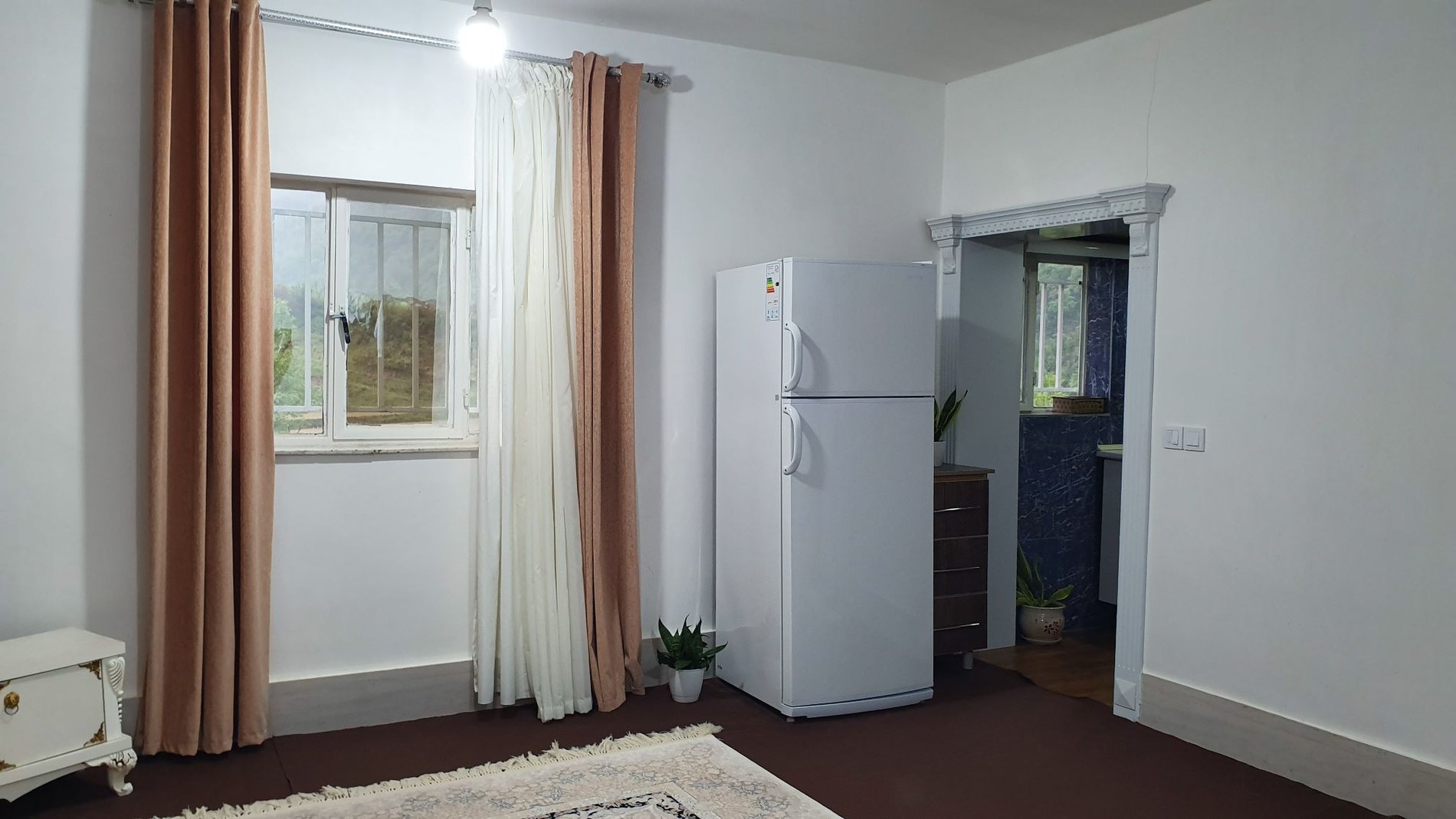 فلت جنگلی نیشاک