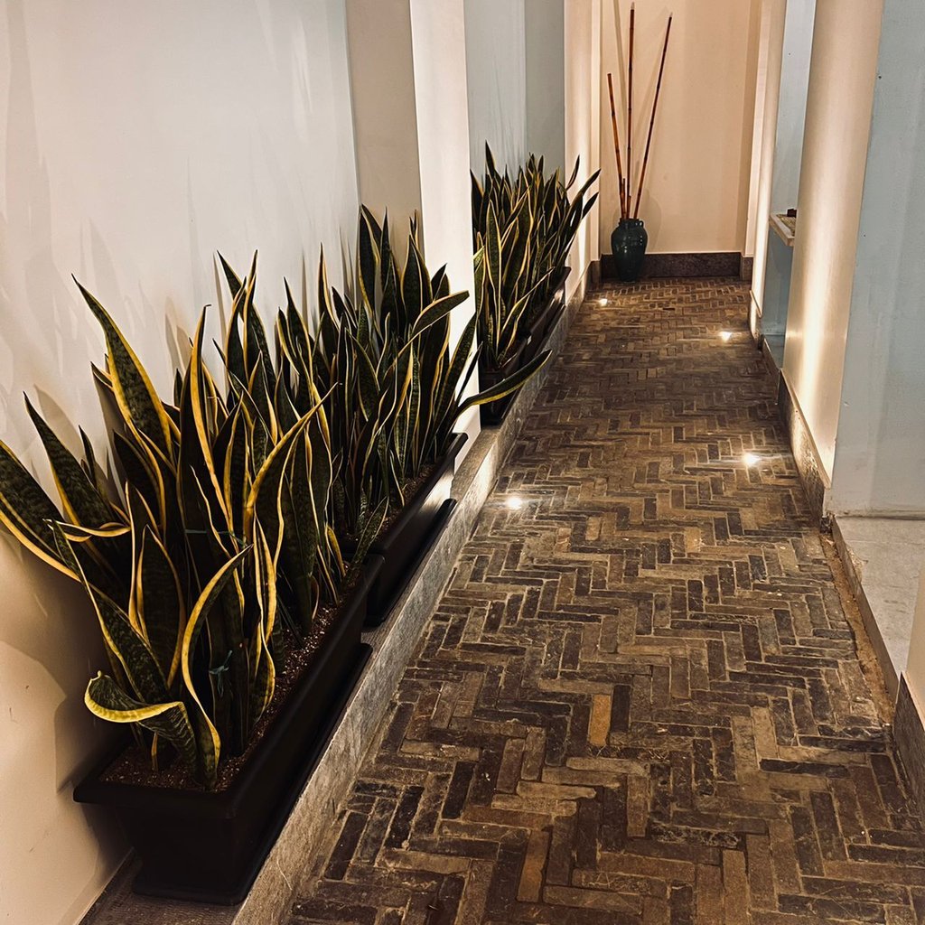 اقامتگاه سنتی یک تخته صدق 1 - اتاق ۶