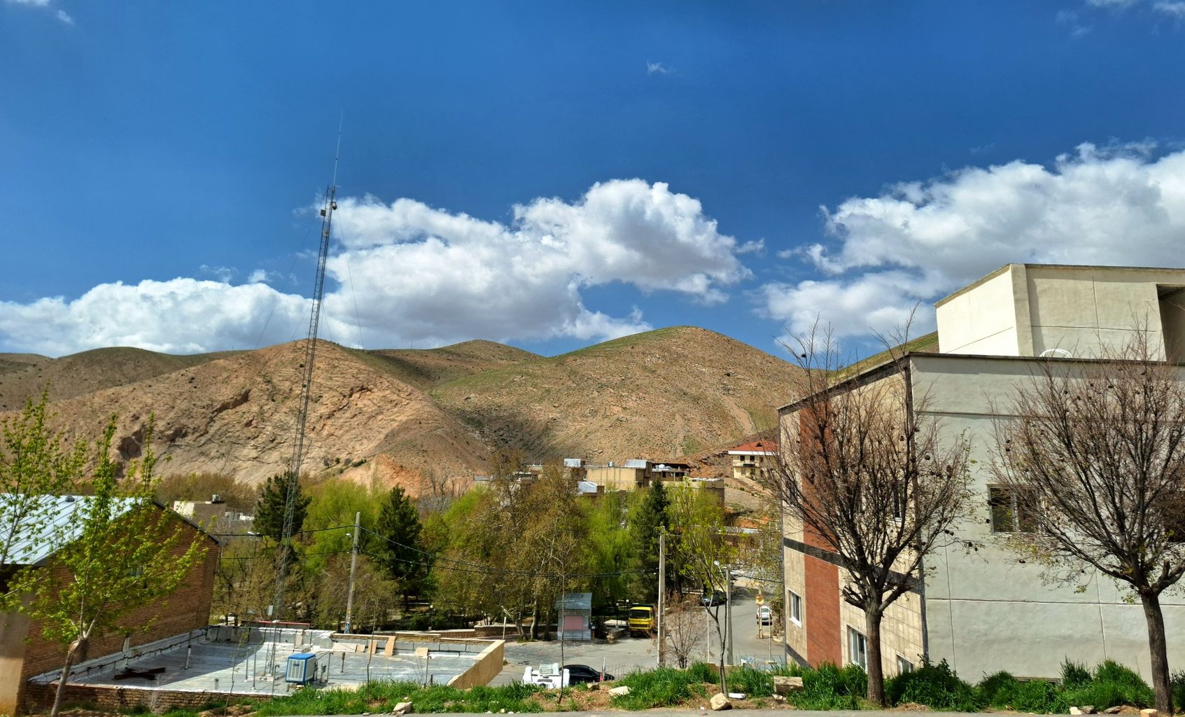 یک خوابه سپیدان