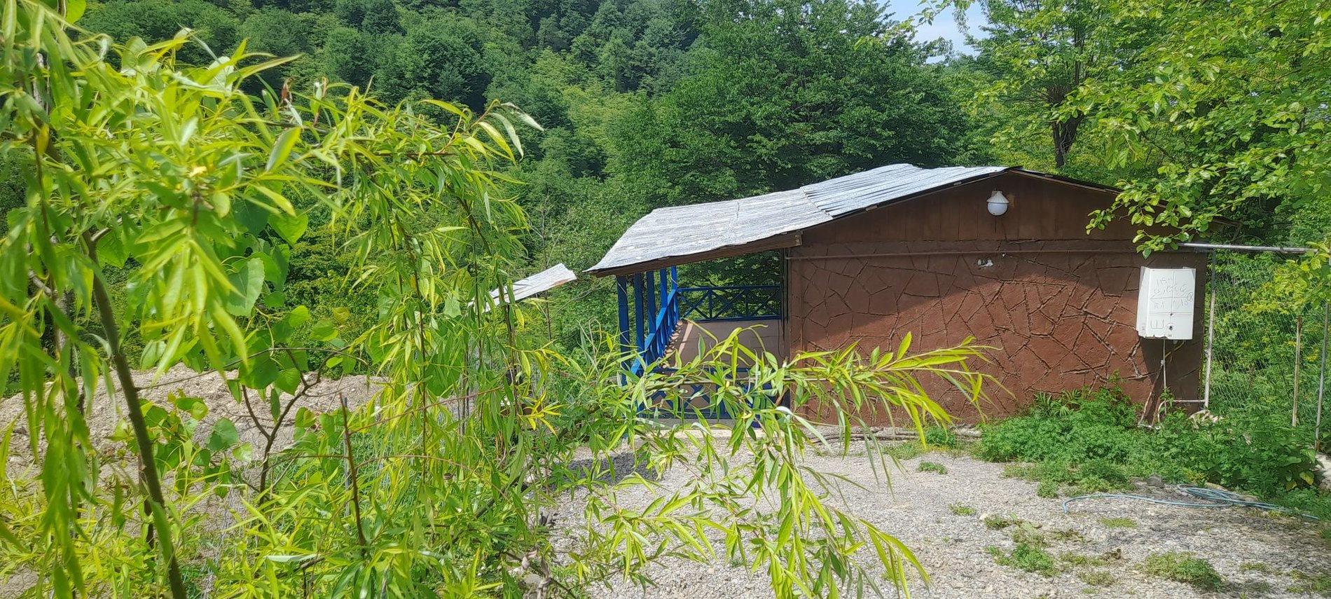 یک خوابه جنگلی بهار سیولیم