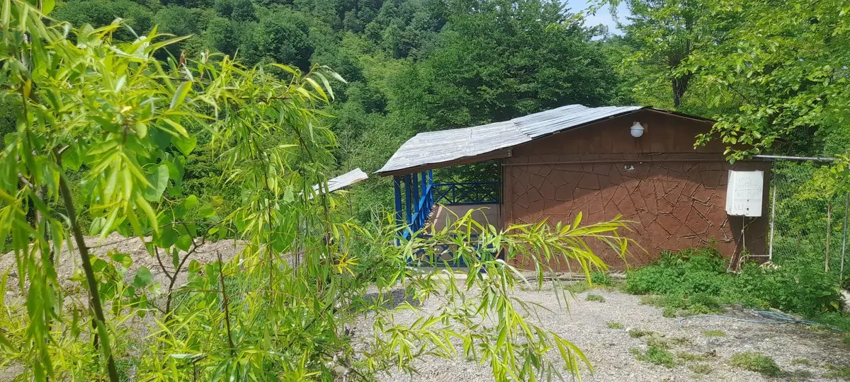 کلبه یک خوابه جنگلی بهار سیولیم