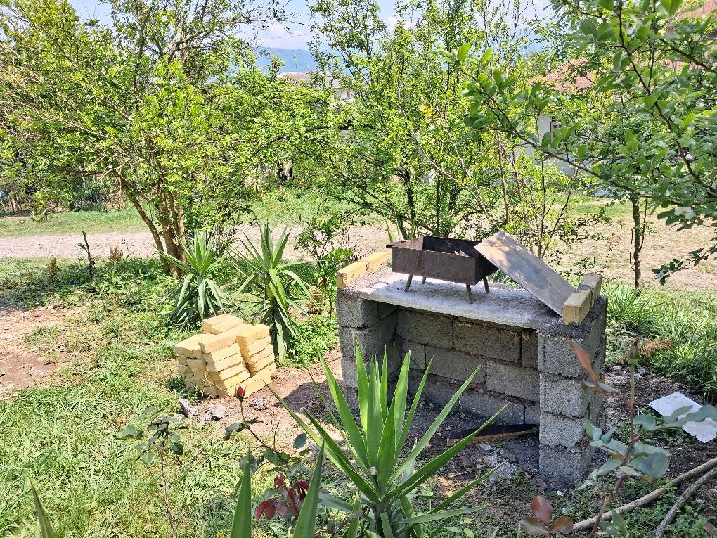 سوئیت سوئیت مستر گلسا 