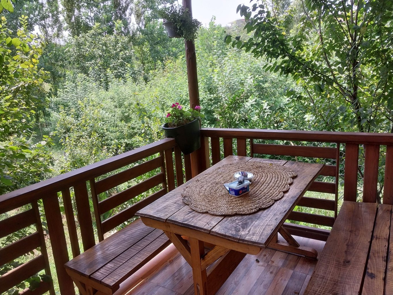 فلت باغ آلوچه