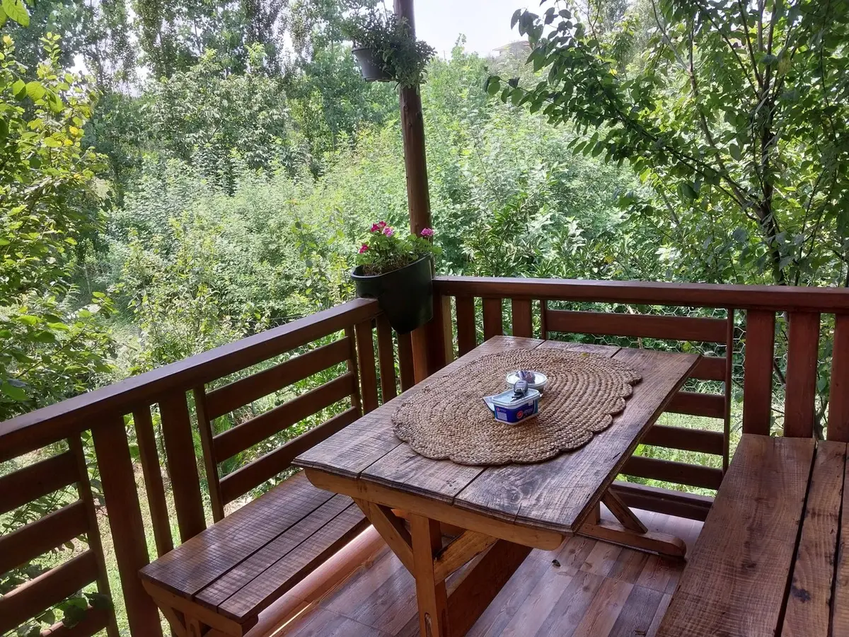 کلبه فلت باغ آلوچه