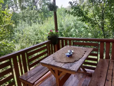 کلبه فلت باغ آلوچه