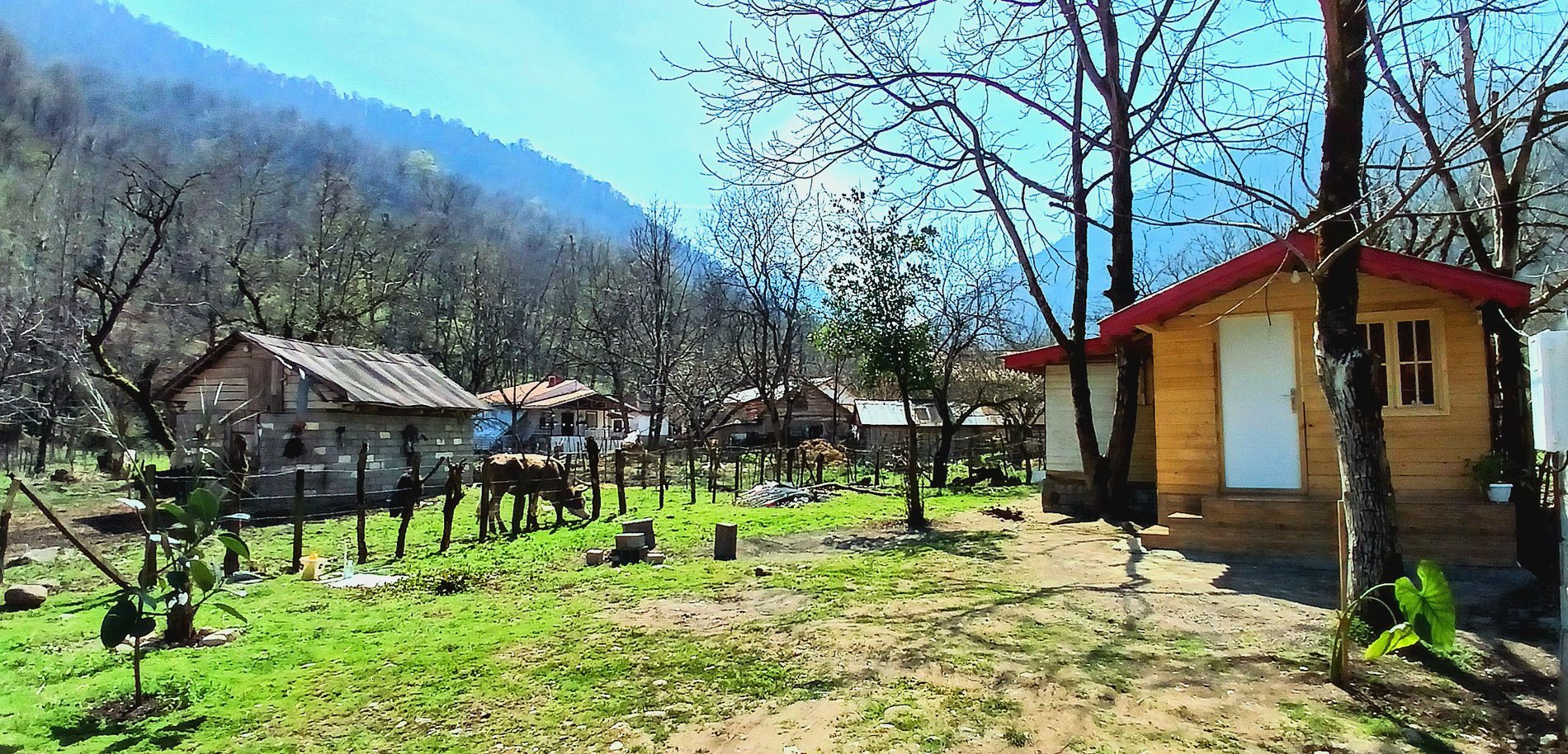 یک خوابه جنگلی توسکا 4