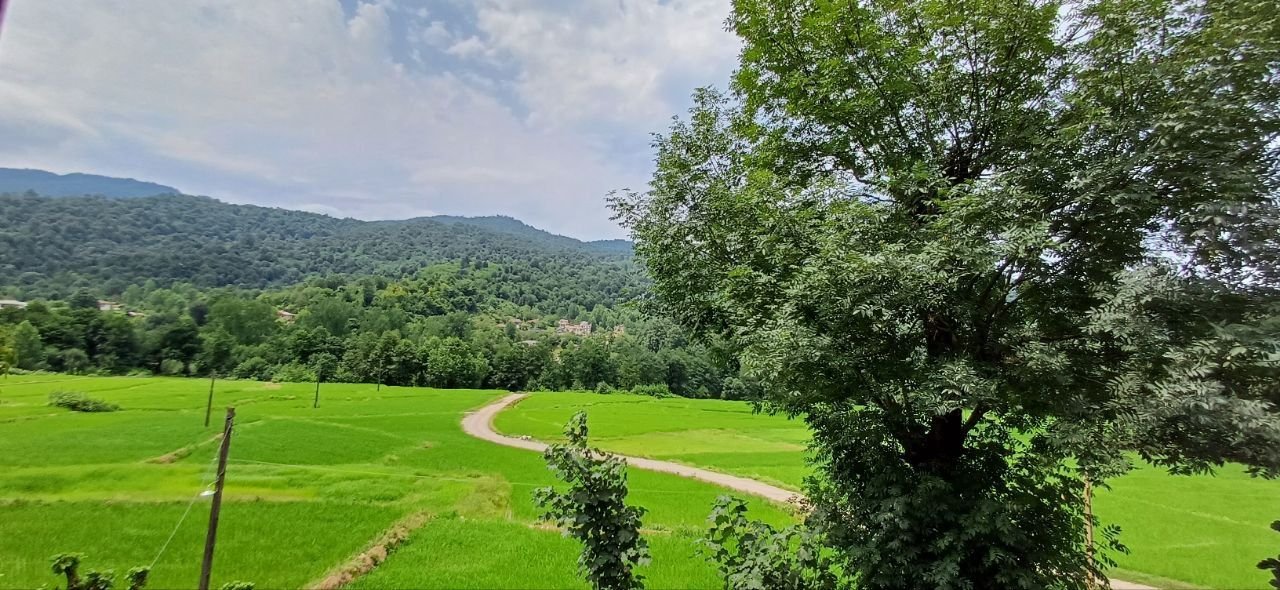 ویلا سه خوابه جنگلی منگه تاو