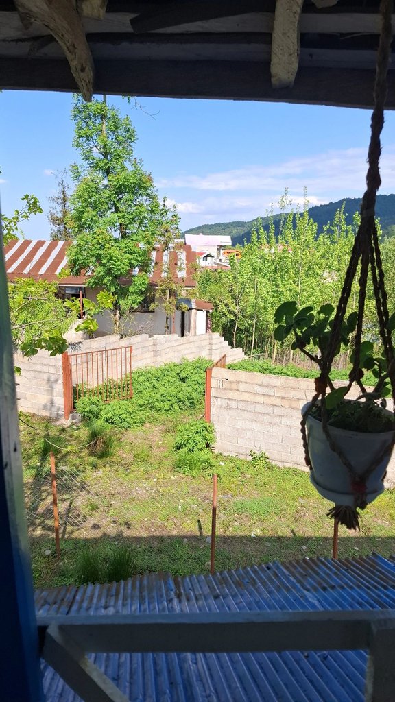 کلبه یک خوابه جنگلی گیلانه قلعه رودخان