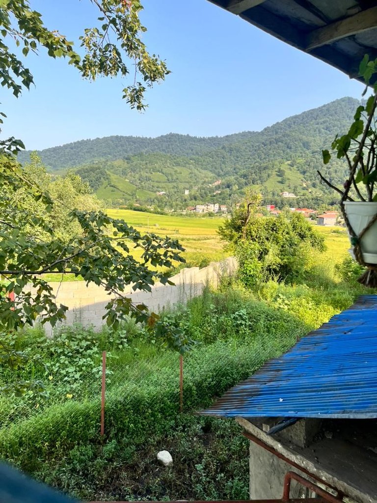 کلبه یک خوابه جنگلی گیلانه قلعه رودخان