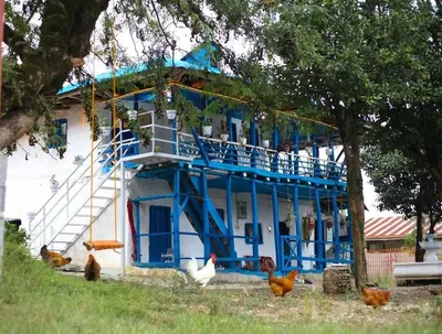 کلبه یک خوابه جنگلی گیلانه قلعه رودخان