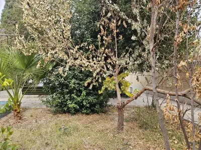 بومگردی سروین ۱ - واحد ث ۲