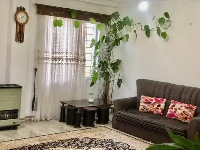 ویلا یک خوابه جنگلی ملکی