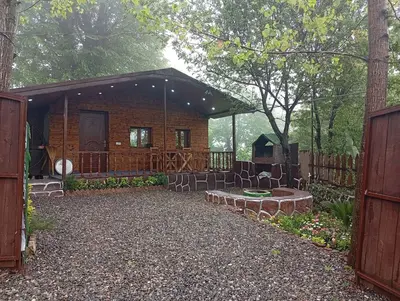 کلبه یک خوابه جنگلی سورنا