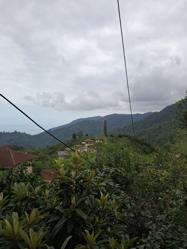 سوئیت یک خوابه منصف