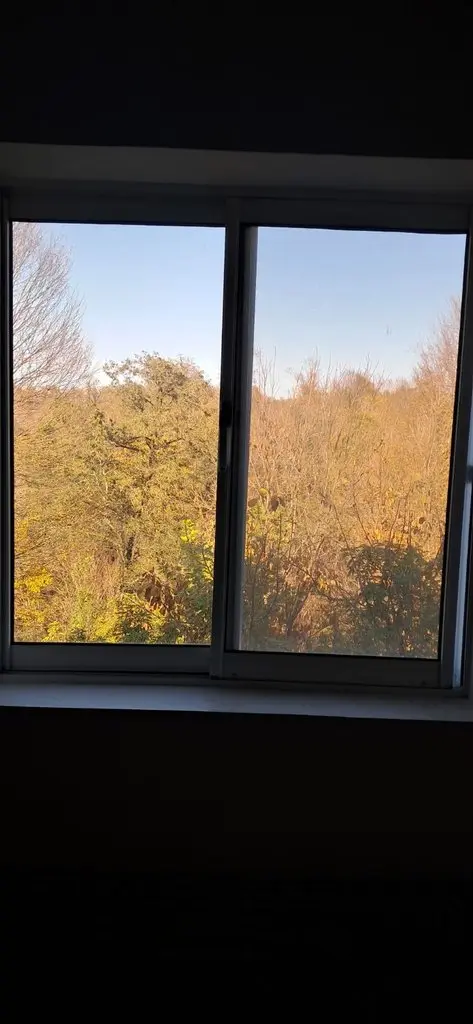 کلبه کلبه جنگلی محمد طاها1