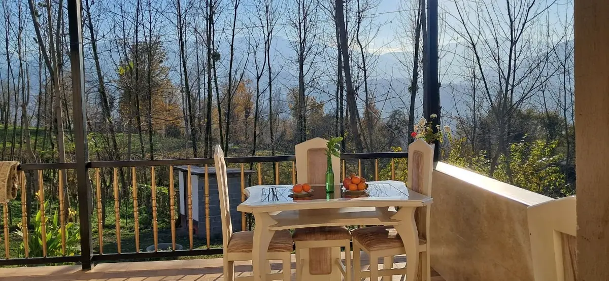 کلبه کلبه جنگلی محمد طاها1