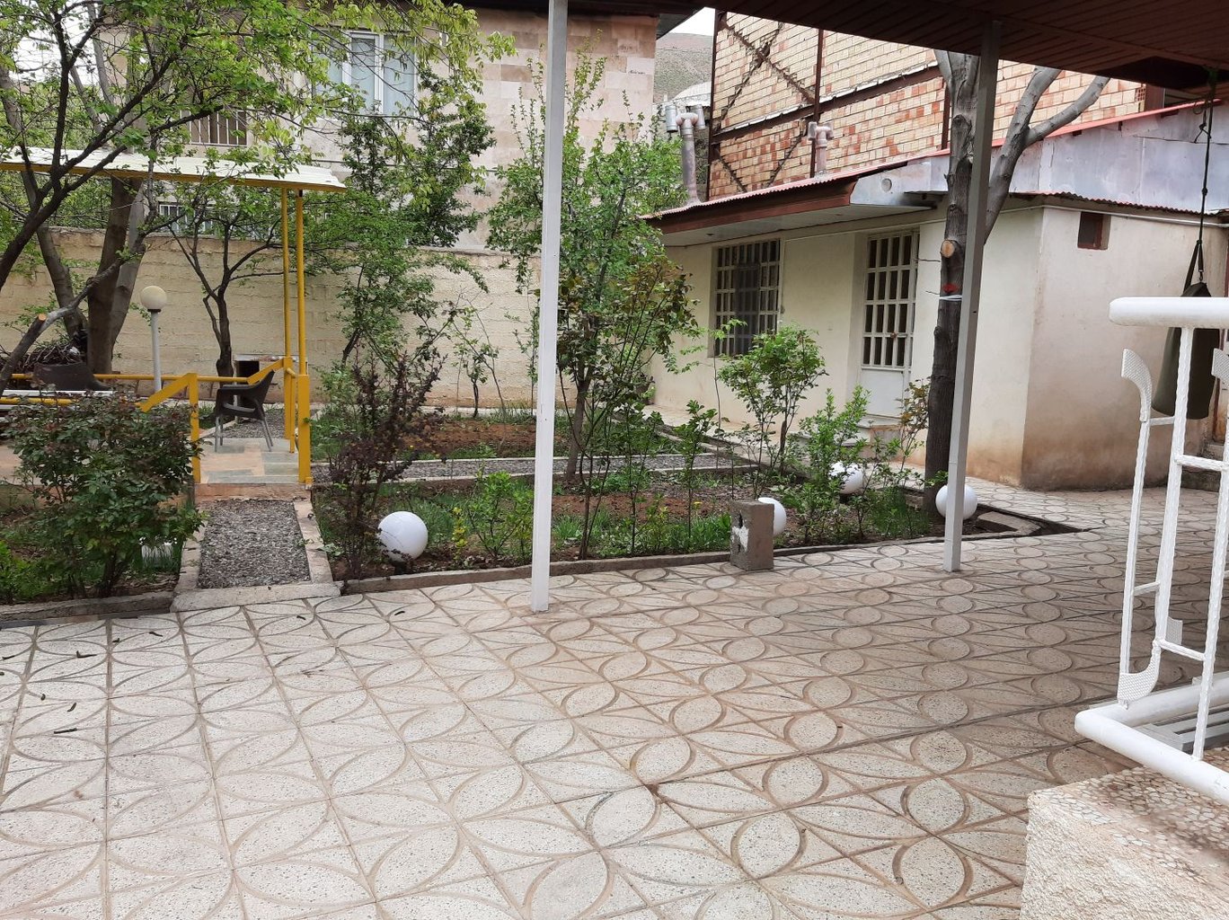 فلت گل آفتابگردان جوستان