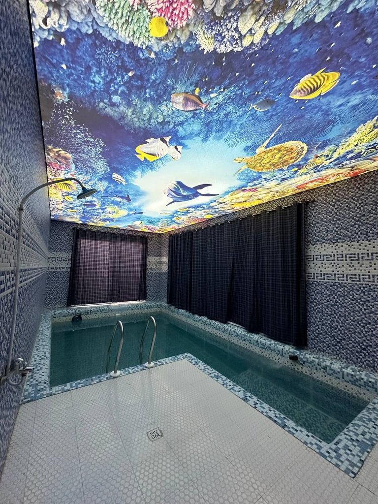 ویلا دوخوابه استخردار آبگرم ناظریه