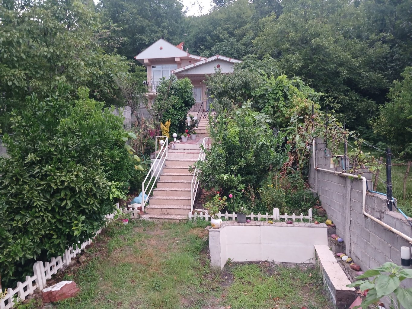 دوخوابه نیلاش 1