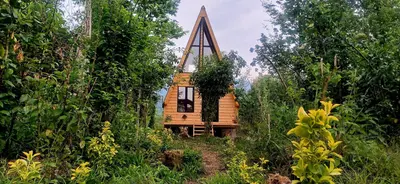 کلبه یک خوابه جنگلی بلوط 1