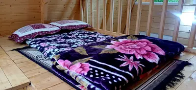 کلبه یک خوابه جنگلی بلوط 1